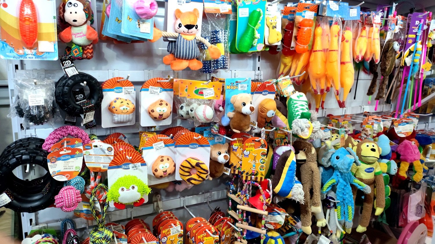 Brinquedos e acessórios para pets na Flor da Terra